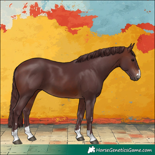 Horse Color:Chocolate Brown 