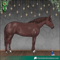 Horse Color:Chocolate Black