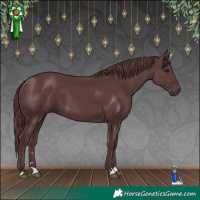 Horse Color:Chocolate Black 