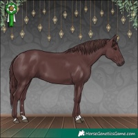 Horse Color:Chocolate Black 