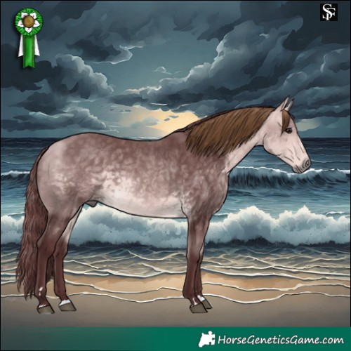 Horse Color:Platinum Chocolate Buckskin 