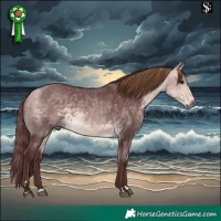 Horse Color:Platinum Chocolate Buckskin