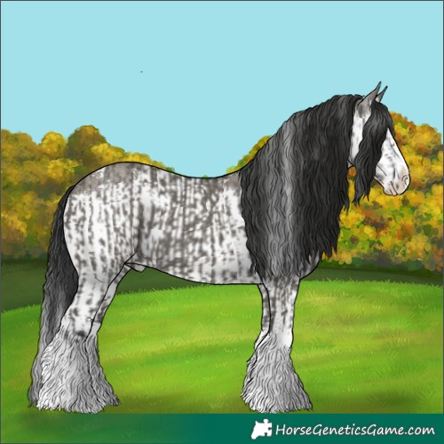 Horse Color:Grullo Sabino Splash and Gray Grullo Sabino Splash