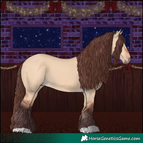 Horse Color:Chocolate Bay Dun 