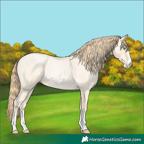Horse Color:Buckskin Roan Pearl and Buckskin Roan Pearl