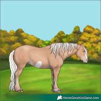Horse Color:Silver Amber Champagne Frame