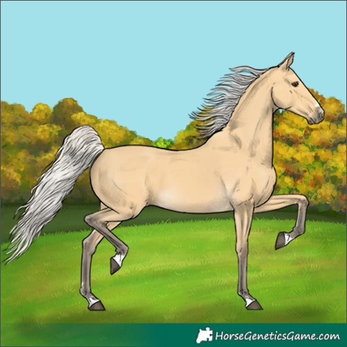 Horse Color:Silver Buckskin