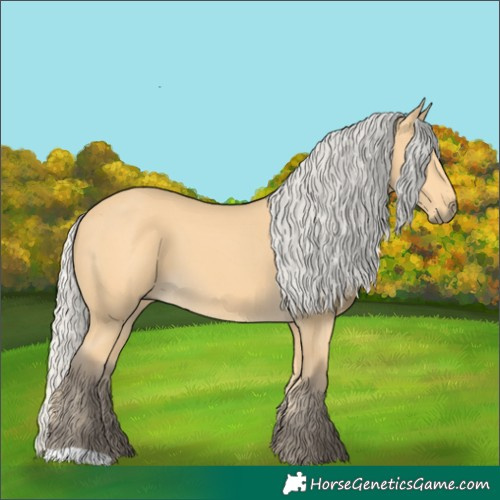 Horse Color:Silver Buckskin 