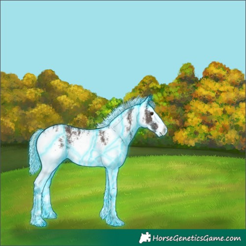 Horse Color:Thunderstruck White Spotted Liver Chestnut Splash 