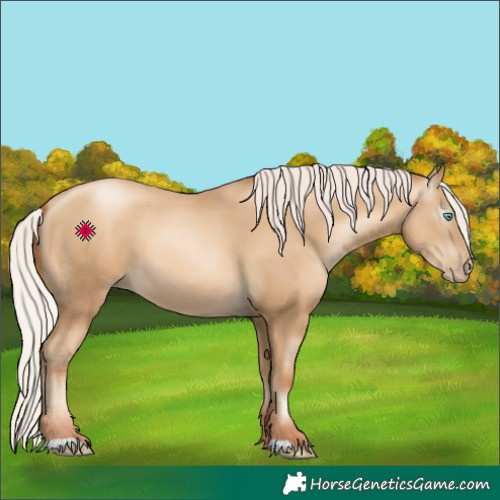 Horse Color:Gray Silver Amber Cream Champagne Pearl