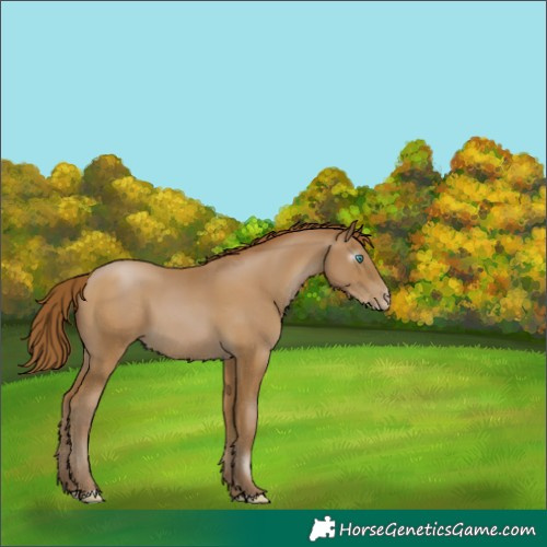 Horse Color:Gray Smoky Black Pearl 