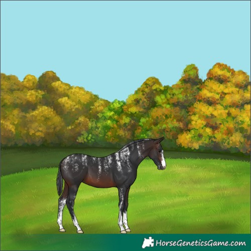 Horse Color:Powder White Brown 