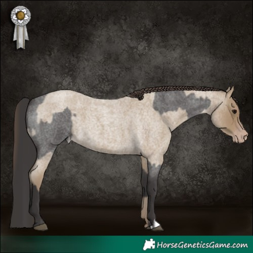 Horse Color:Smoky Blue Roan and Classic Cream Champagne Roan