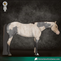 Horse Color:Smoky Blue Roan and Classic Cream Champagne Roan