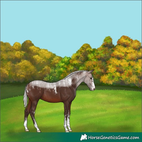 Horse Color:Powder White Silver Brown 