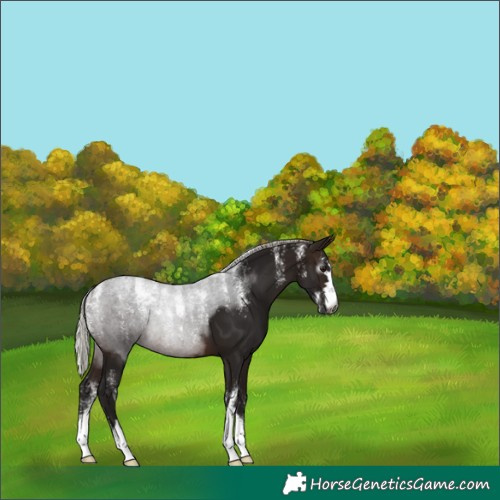 Horse Color:Powder White Gray Silver Brown