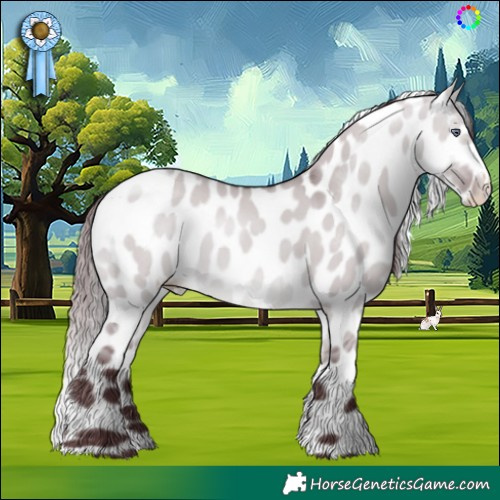 Horse Color:Chocolate Brown Chinchilla Dun Skewed LP Spotted 