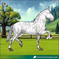 Horse Color:Chocolate Brown Chinchilla Dun Skewed LP Spotted 