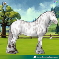 Horse Color:Chocolate Brown Chinchilla Dun Skewed LP Spotted