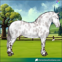 Horse Color:Chocolate Brown Chinchilla Dun Skewed Appaloosa