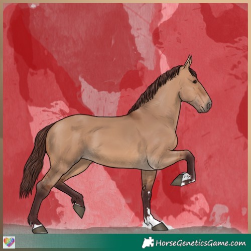 Horse Color:Chocolate Bay Dun 