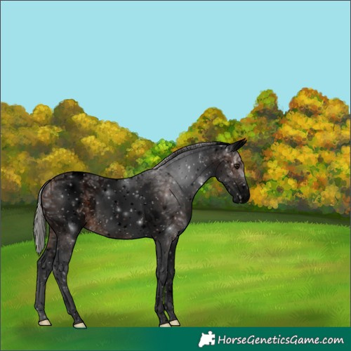 Horse Color:Void White Spotted Silver Brown Ice 