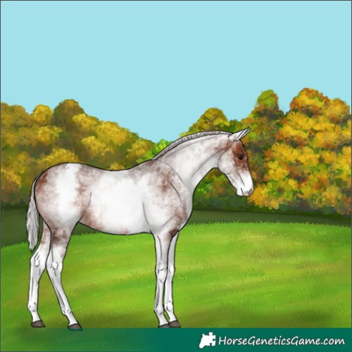 Horse Color:White Spotted Silver Brown Ice 