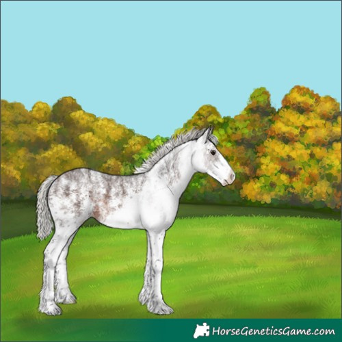 Horse Color:White Spotted Silver Brown Ice 