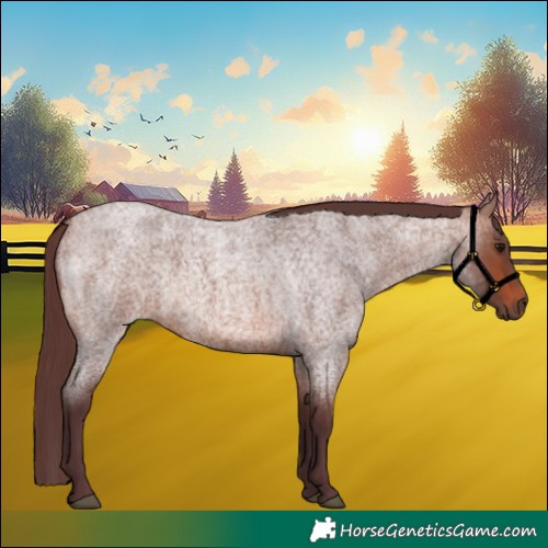 Horse Color:Chocolate Brown Roan 