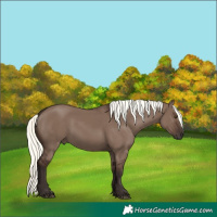 Horse Color:White Spotted Liver Red Dun Mushroom