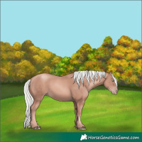 Horse Color:White Spotted Gold Champagne Mushroom Rabicano