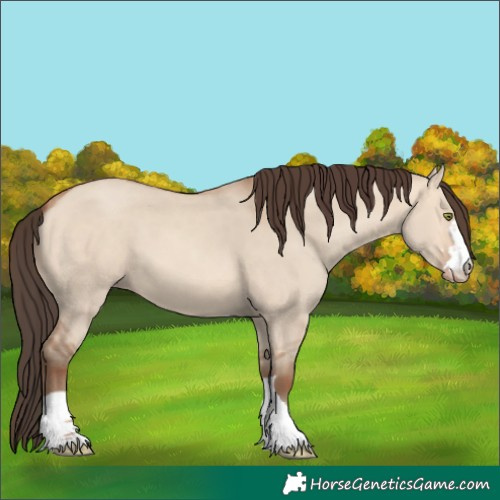 Horse Color:Amber Champagne Dun 