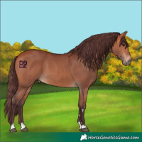 Horse Color:Chocolate Bay 