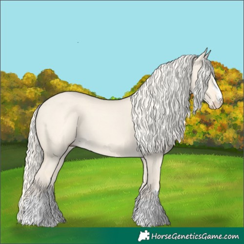 Horse Color:Cremello Dun 