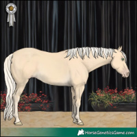 Horse Color:Gold Cream Champagne