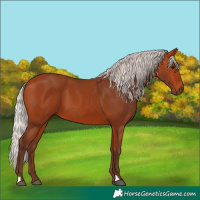 Horse Color:Silver Bay