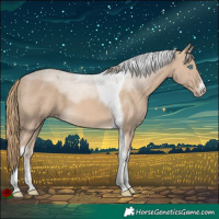 Horse Color:Perlino Sabino Tobiano