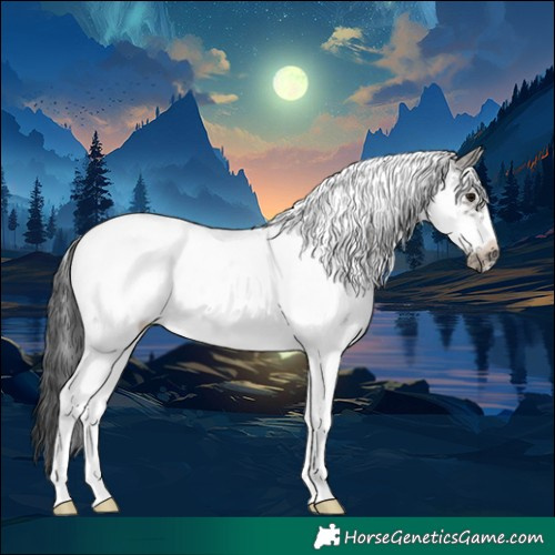 Horse Color:White Spotted Grullo Tobiano Frame Rabicano 