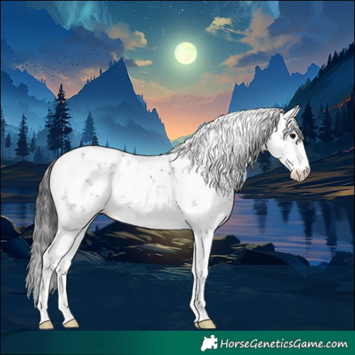 Horse Color:Brown Sabino 