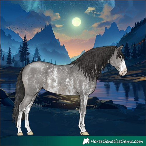 Horse Color:Black Sabino 