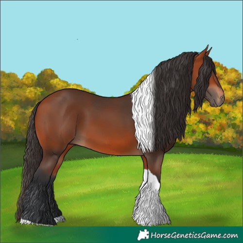 Horse Color:Bay Tobiano Rabicano