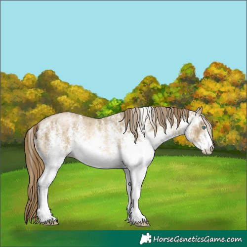 Horse Color:White Spotted Smoky Grullo Pearl Brindle
