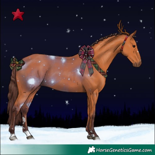 Horse Color:Chocolate Bay 