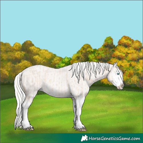 Horse Color:Cremello Splash  and Cremello Splash 