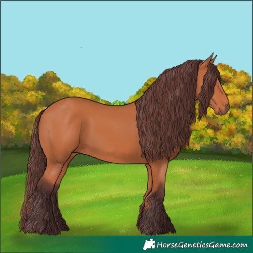 Horse Color:Chocolate Bay 