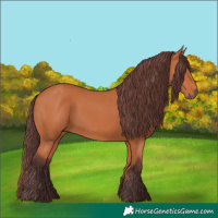 Horse Color:Chocolate Bay 