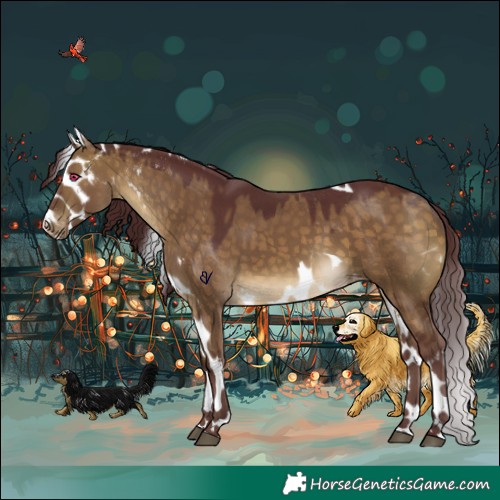 Horse Color:Chocolate Buckskin Dun Skewed Appaloosa