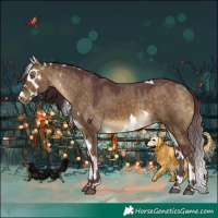 Horse Color:Chocolate Buckskin Dun Skewed Appaloosa