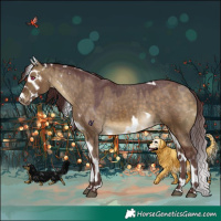 Horse Color:Chocolate Buckskin Dun Skewed Appaloosa 