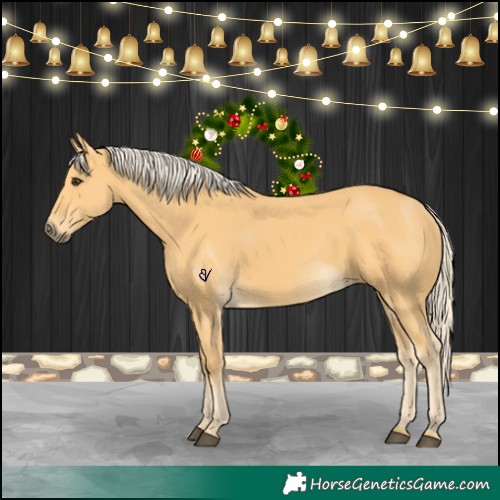 Horse Color:Palomino 